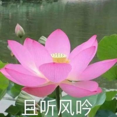 广西柳州：粤桂协作为群众送上“新春就业礼”